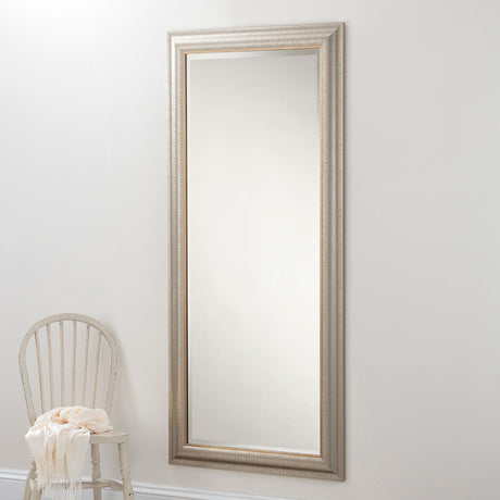 Champ mirror 60x24