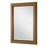 Franz Gold Framed Mirror