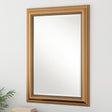 Franz Gold Framed Mirror