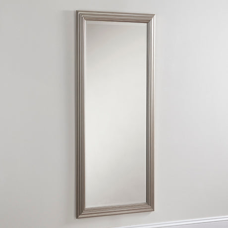 Champ Mirror 60x24